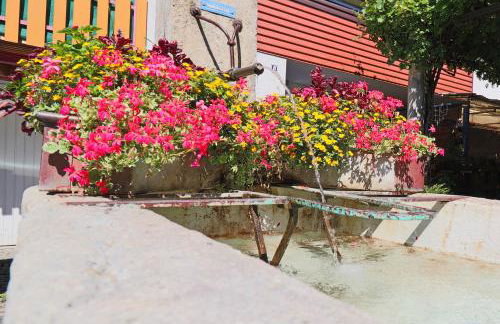 Löwe Apartment Gold Tiengen Altstadt - Foto 23