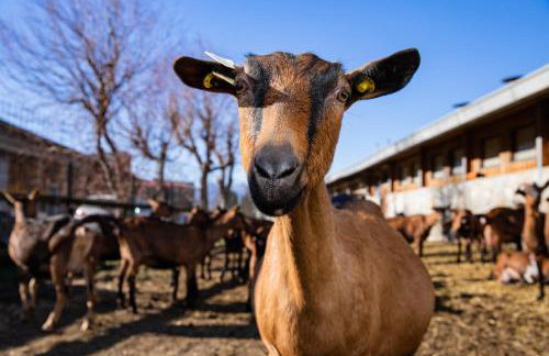 La Fiorida Agri Relais - Photo 16