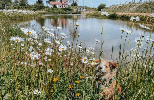 Kraina Poraj - Foto 67