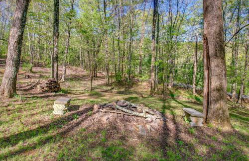 Shenandoah National Park Cabin with Patio! - Foto 2