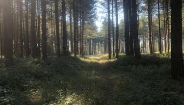 Nightingale Lodge - Adults Only - Foto 4