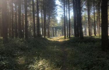 Nightingale Lodge - Adults Only - Foto 4