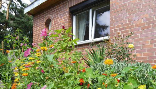 Ferienhaus in der Feldberger Seenlandschaft - Foto 2