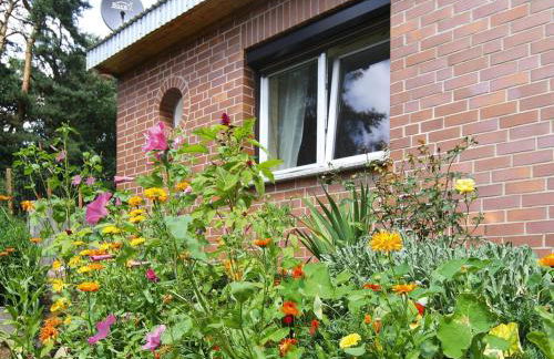 Ferienhaus in der Feldberger Seenlandschaft - Foto 2