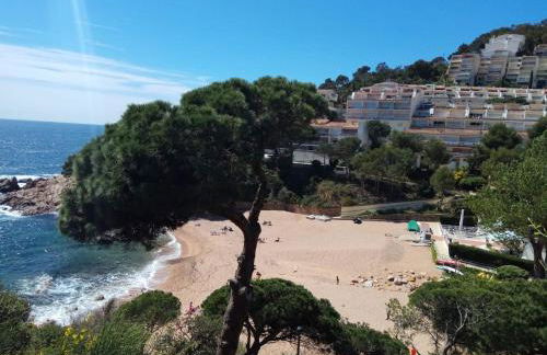 Cala Salions, Chalana II - Foto 59