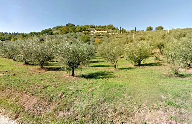 Country House With Swimming Pool and Garden With Mediterranean Plants - Foto 77