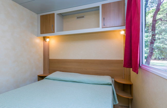 Green Holiday (GDO201) - Foto 10