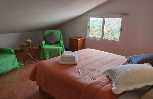 Tabua Village Madeira Suite 6 Adventure with Ocean View - Photo 3
