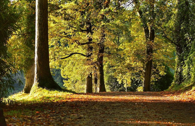 The Shippon -hot Tub ext chg - Superking-log Fire - Foto 22