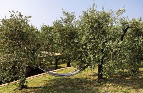 Agriturismo Per Caso - Photo 11