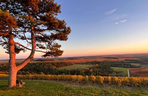 Au pied du vignoble Champenois - Foto 10