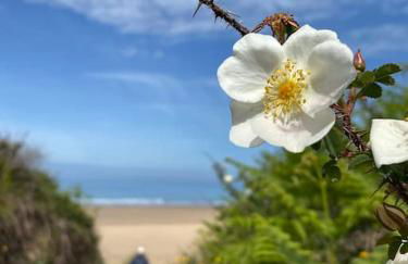 Sunny Nook, Pretty 1 bed modern cottage close to Woolacombe - Foto 4