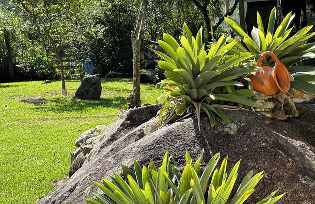 Sítio Morada do Pai - Foto 45