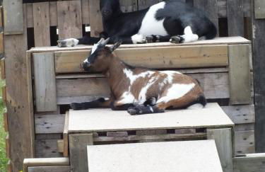 LES HAUTS VENTS - Foto 34