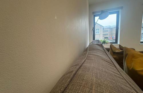 JVL Nice Cosy 1BR Flat Purley, London - Foto 7