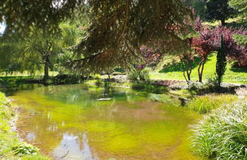 BaB Hotels and Apartments-Zum Letzten G'Stehr - Photo 38