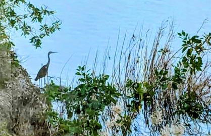 Villa Martin - Foto 24