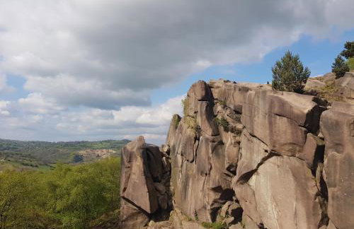 Chatterbox Cottage - Photo 12