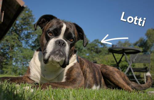 Moorparadies FRI-Südliches Friesland - Foto 24