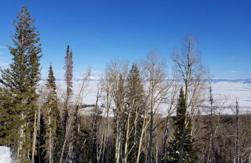 Whistle Pig Retreat at 22 West Cabins and Recreation - Foto 8