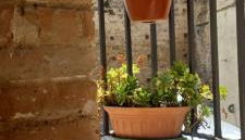 Dimora alla Chiesa Diruta - Foto 3