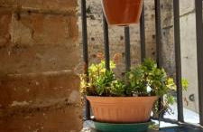 Dimora alla Chiesa Diruta - Foto 3