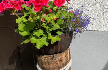 Ferienwohnung Lahnmündung - Foto 17