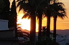 Villa al Mar, Els Poblets, Top Lage und Ausstattung, Pool, WIFI 300Mb, eigener überdachter Parkplatz, Photovoltaik Bonus, nah am Strand 500m - Foto 50