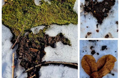 Gronocottage - Foto 47