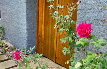 Casa Vita BG - Casa de campo - Foto 48