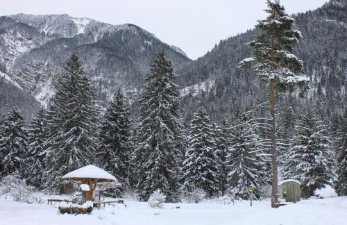 Apartment Zugspitz - Foto 6