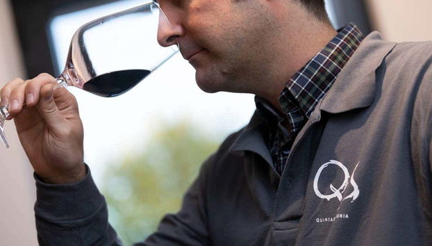 Degustação de vinhos