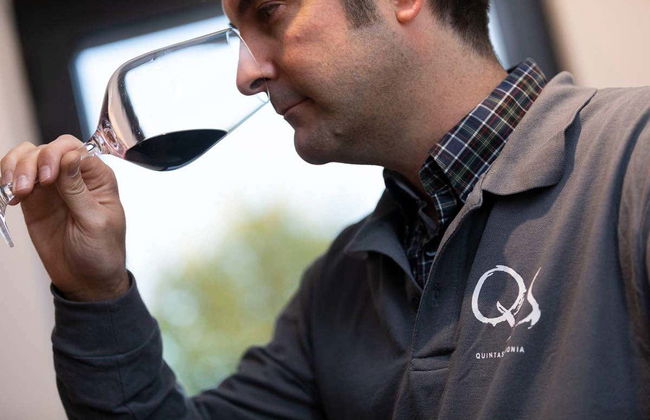 Visita a Quinta Sardonia - Foto 1