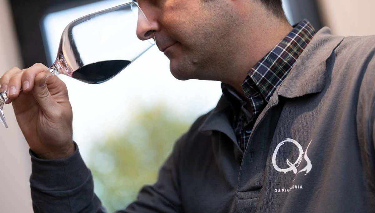 Quinta Sardonia Winery Visit - Foto 1