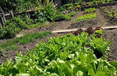 Froetscherhof, Urlaub auf dem Bio-Bauernhof in Brixen, Appartments, Sauna und BrixenCard - Foto 75