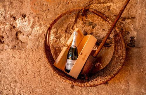 Agriturismo Mas dei Chini - Photo 74