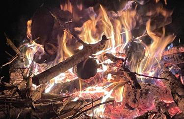 Appalachian Haven - Mountain Views - Vet Owned - Foto 39