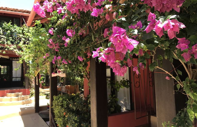 Apartamentos Massai - Foto 66