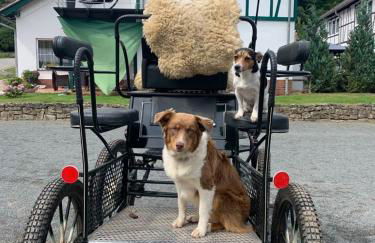 Der perfekte Ausgangspunkt - Foto 41