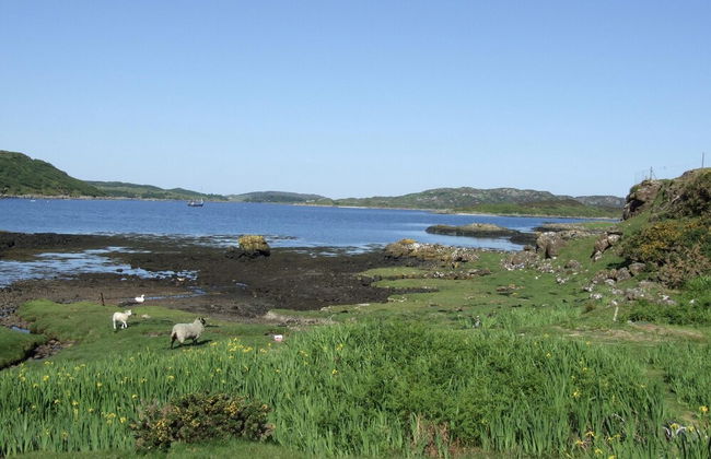 Cottage-isleofmull-stunningviews-wifi-parking - Foto 5