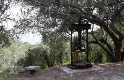 Apagio Othonoi Car Included - Foto 9