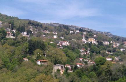 Milies Historic Chalet Pelion - Foto 60