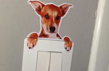 Friendly Home 3 trilocale - Foto 19