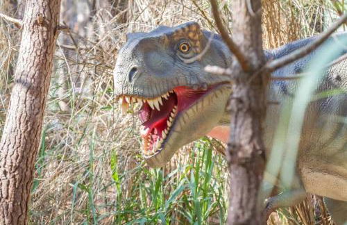 Vivenda Arlindo - Foto 63