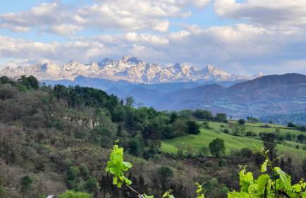 La Casina de Labra - Foto 15