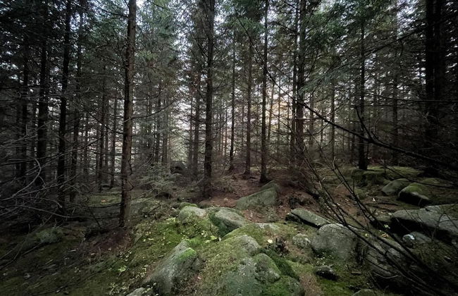 Ferienhaus in Schierke for 8 Personen - Photo 35
