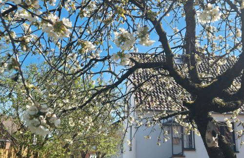 Schäferhaus - Foto 33