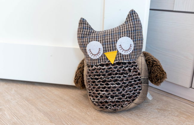 Kegelrobbe - Foto 19