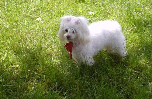 Apartments Jug - Foto 21