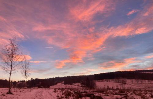 Dom Gościnny Zarembianka - Foto 65